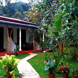 Nethmi Sigiriya